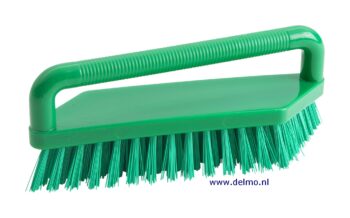 eiwit-activeringsborstel, groen