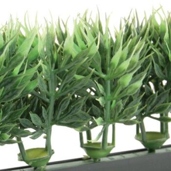 Dalebrook deco-stroken, GB-44 [25cm] liguster, zwarte basis