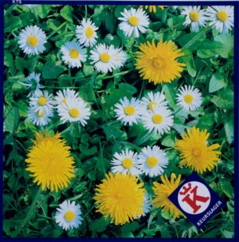 Keurslager toonbankservet bisonyl zomer