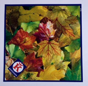 Keurslager toonbankservet bisonyl herfst