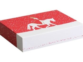 letterdoos 28x21x6cm. Sinterklaas